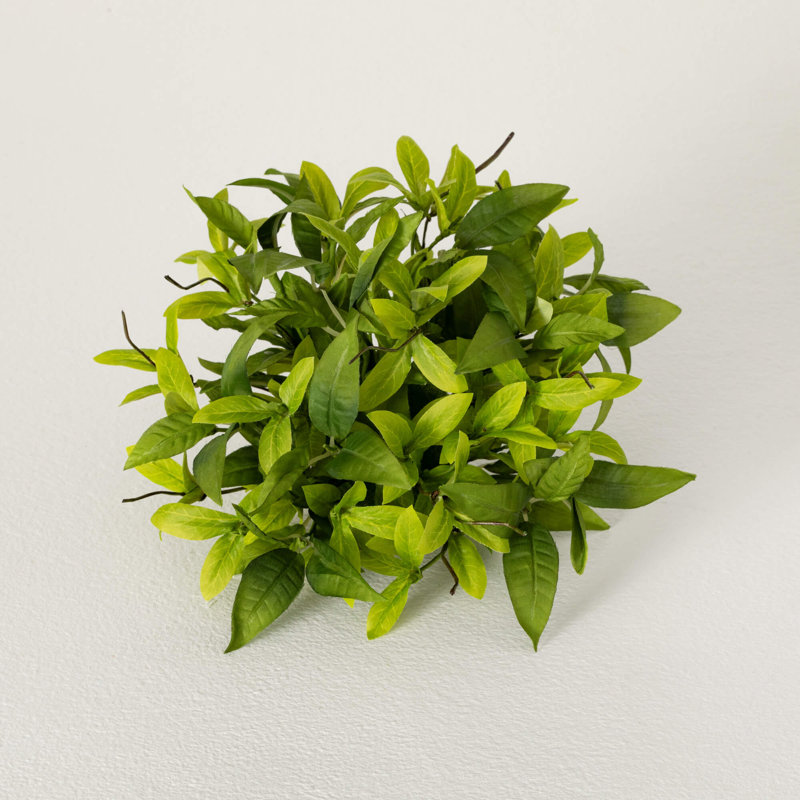 Sullivans Ruscus & Twig Orb 5,5 po; vert