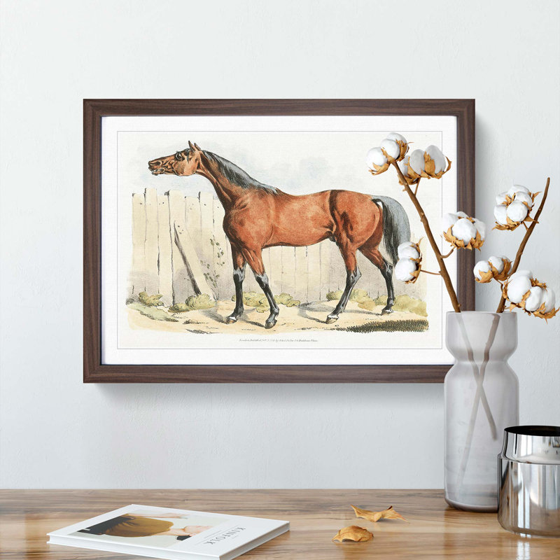 Dark-Brown Horse by Henry Alken - Picture Frame Painting Print, 48cm H x 65cm W x 2cm D, Walnut Framed