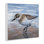 «Sand Piper Shore», peinture murale par Lindsay Kivi Fine Art