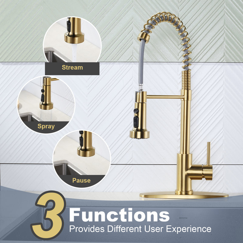 WOWOW Pull Out Kitchen Faucet, Gold