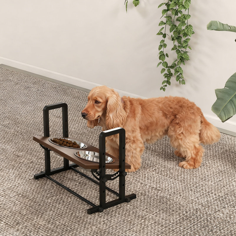 Elevated Feeder