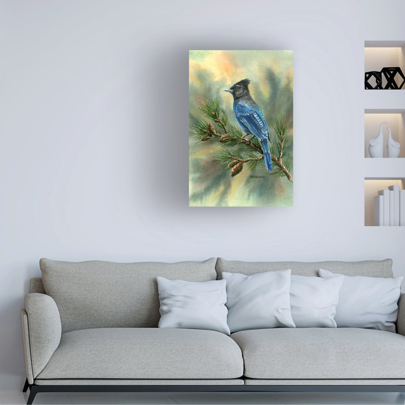 «Dave Bartholet Stellar Jay», art sur toile, H 12 po x l 19 po