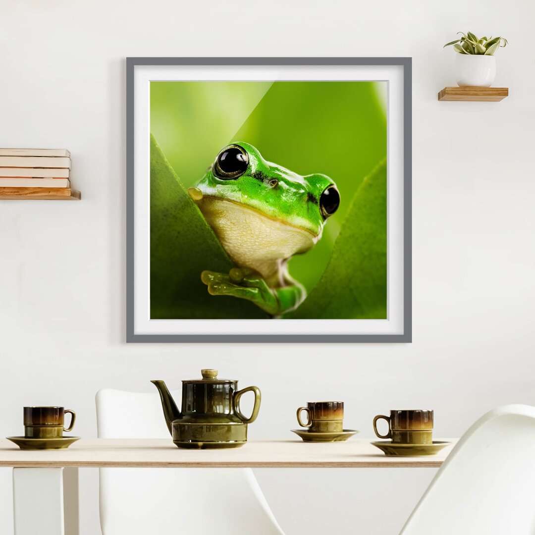 Gerahmtes Papierbild Wetterfrosch