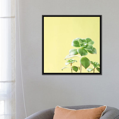 «Succulent Simplicity X», impression sur toile