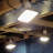 Leonice Outdoor 1 - Bulb 120'' Plug-in LED String Light