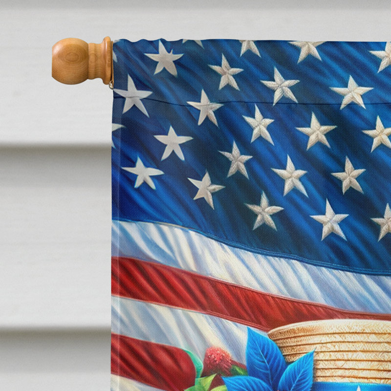 Drapeau «All American House», Terrier irlandais