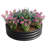 2Pcs W840116764 Metal Planter Box For Growing Carrot And Vegetables, Open Bottom Nutrient Uptake Galvanized Beans Root Drainage Protection-1422509535-1422509529