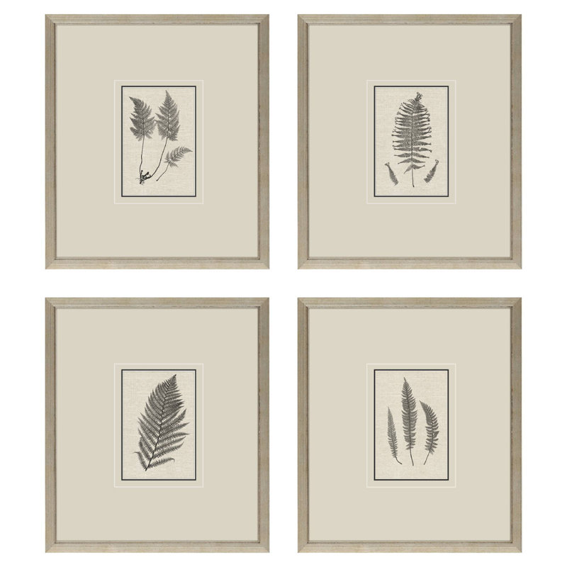Petite Ferns Print