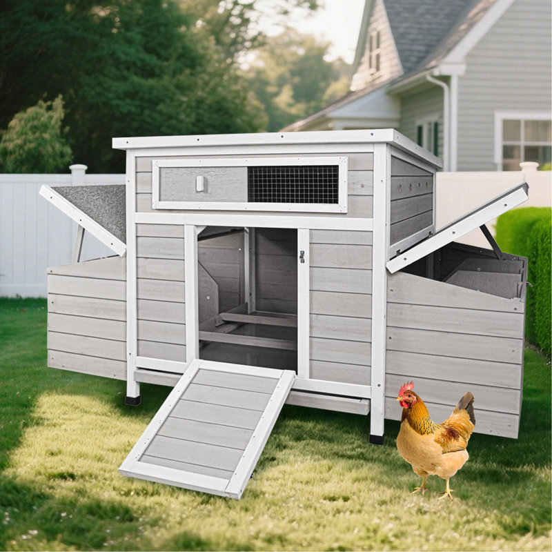 Grande cage à poules pour l'extérieur avec 2 boîtes de nidification