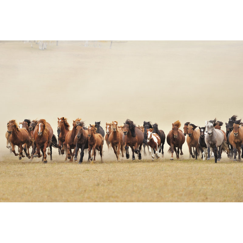 Chevaux par Zorazhuang, H 8 po x l 12 po
