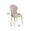 Ensemble de 2 chaises d'appoint élégantes