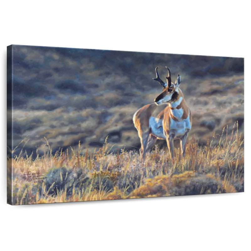 Brampt Pronghorn Pride, 32" H x 48" W