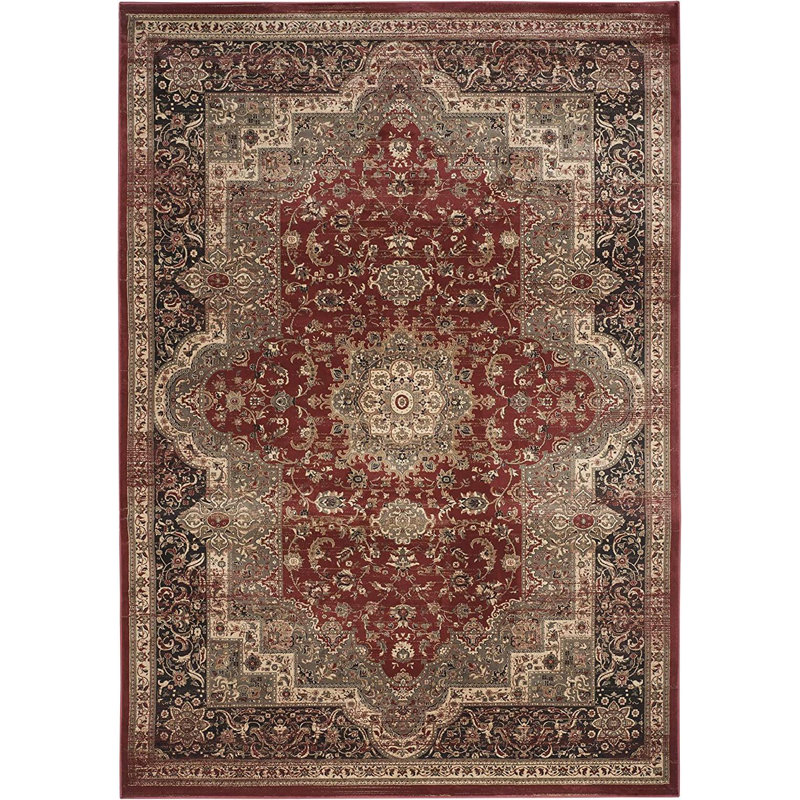 Oriental Indoor Rug, Rectangle 9' x 12'