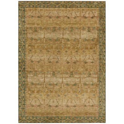 Machine Washable Indoor/Outdoor Chantille ACN2724 Global Rug
