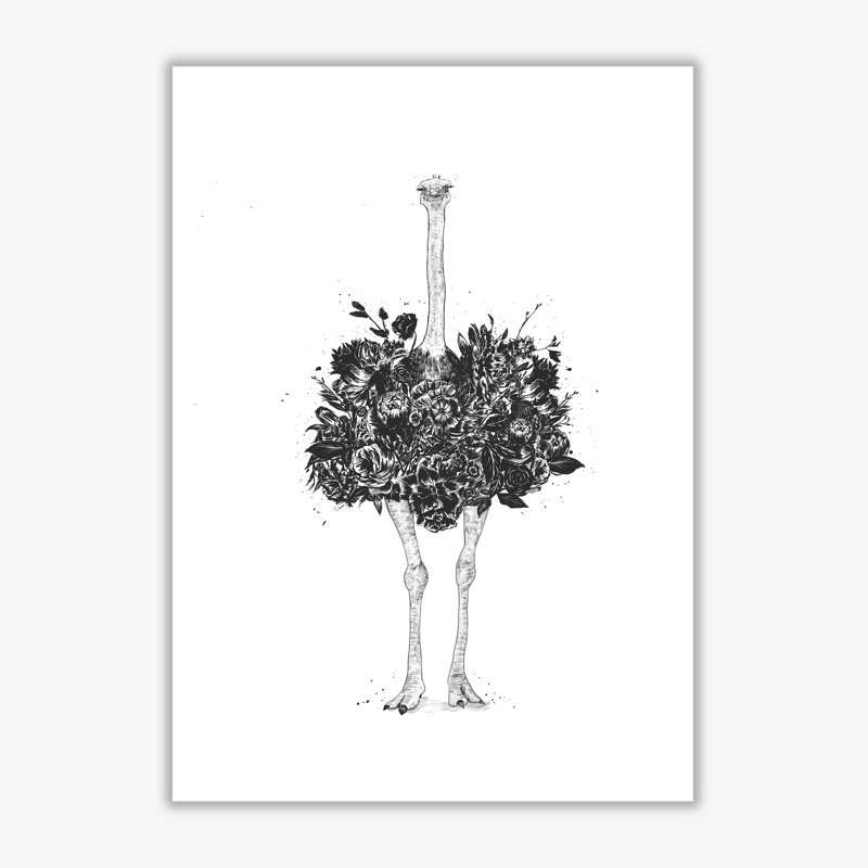 Floral Ostrich by Mercedes Lopes Charro - Print, No Frame, 59.4 cm H x 42 cm W x 1 cm D
