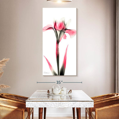 Pink Infused Iris I