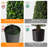 34'' Faux As Pic Topiary in Pot