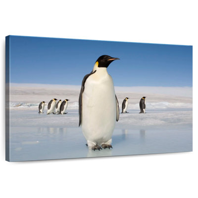 Pingouins qui marchent
