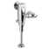 Selectronic Electronic Flush Valve