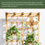 Planter Box-2123272062
