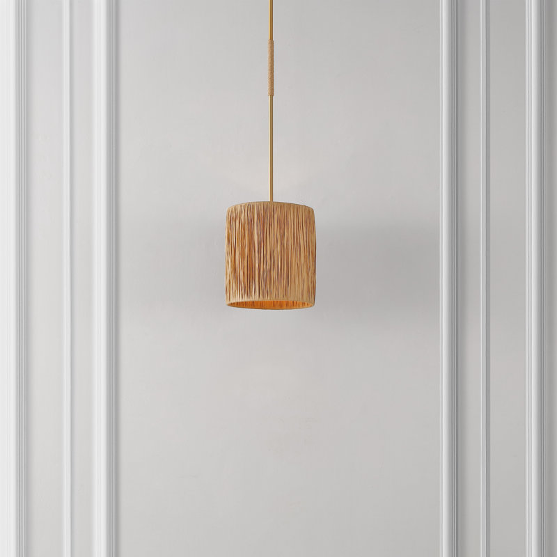 Luminaire suspendu cylindrique à 1 lumière