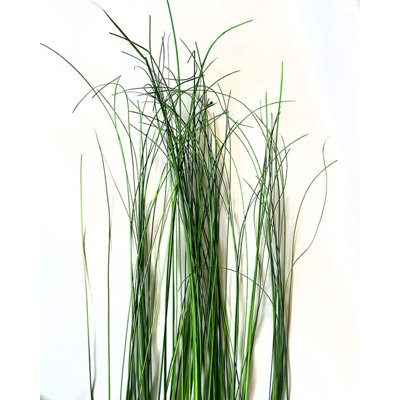 Silk Wispies Arrangement