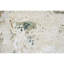 Windsom Hand Knotted Area Rug-1492321612