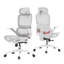 Office Chair with Headrest