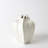 Star Fruit Vase-64402281