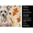 Hairless Chinese Crested Heirloom Fall Kitchen Towel-1218231132