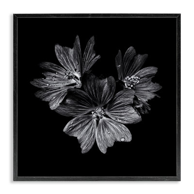  Blossom Trio on Framed Giclee Art by Brian Carson