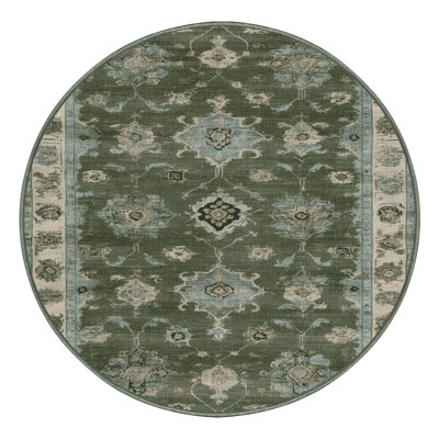 Machine Washable Overdyed Green Area Rug
