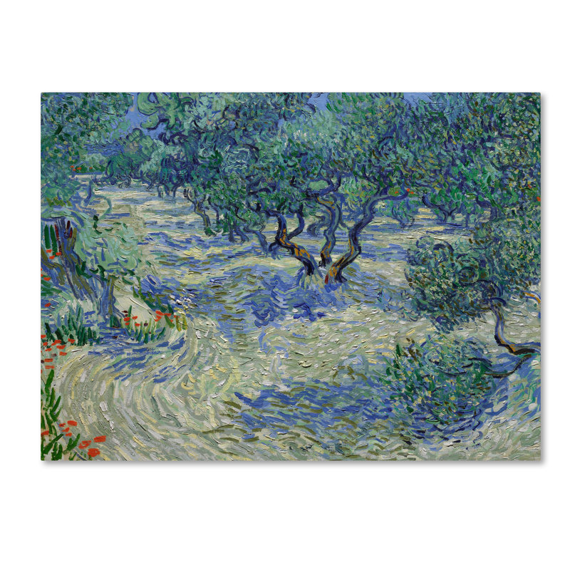 Vincent Van Gogh Olive Orchard Landscape Canvas Print 14x19