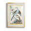 Oiseaux pastel V - imprimé-479918867-479918876