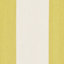 Lady Lake Striped Cotton Hand Woven Area Rug-20764777