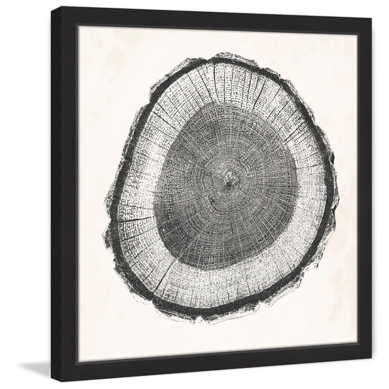 «Tree Ring II», reproduction encadrée, H 18 po x l 18 po, Cadre noir