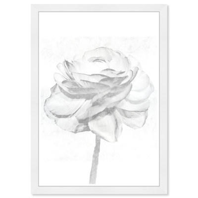 " White Silver Peony "