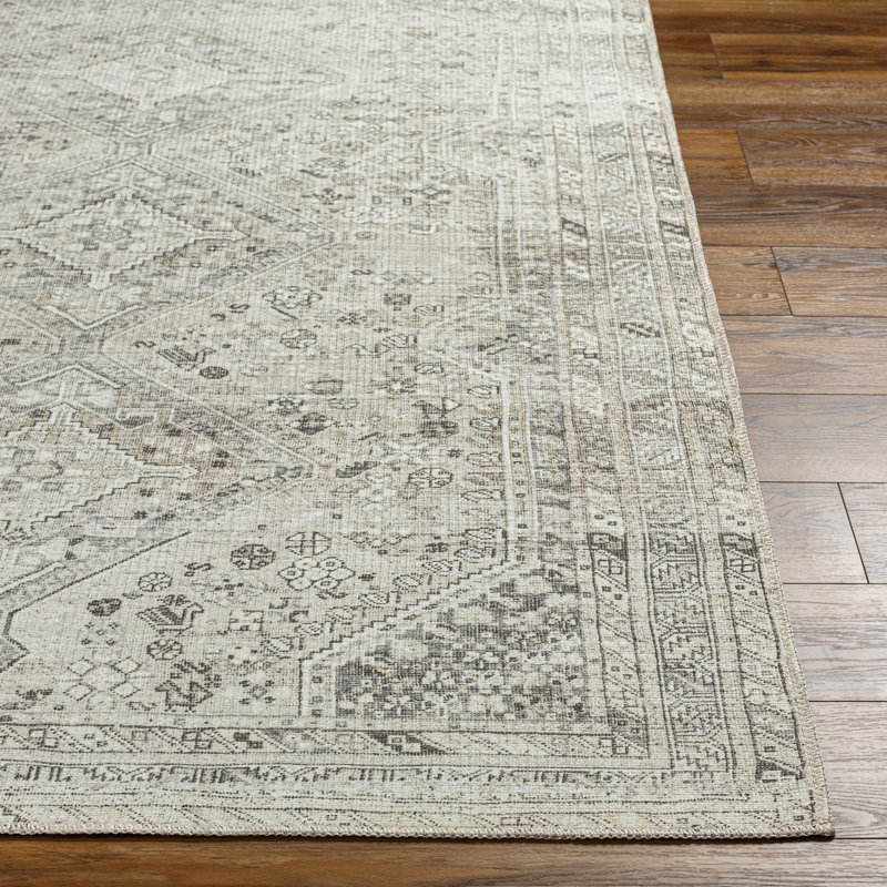 Denzyl Washable Oriental Indoor Rug, Runner 2'7" x 7'10"