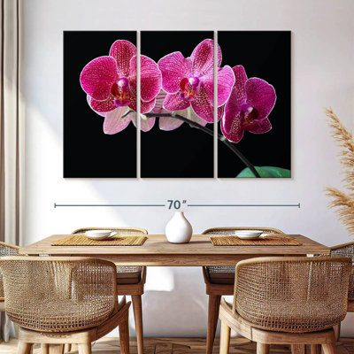 Orchidée