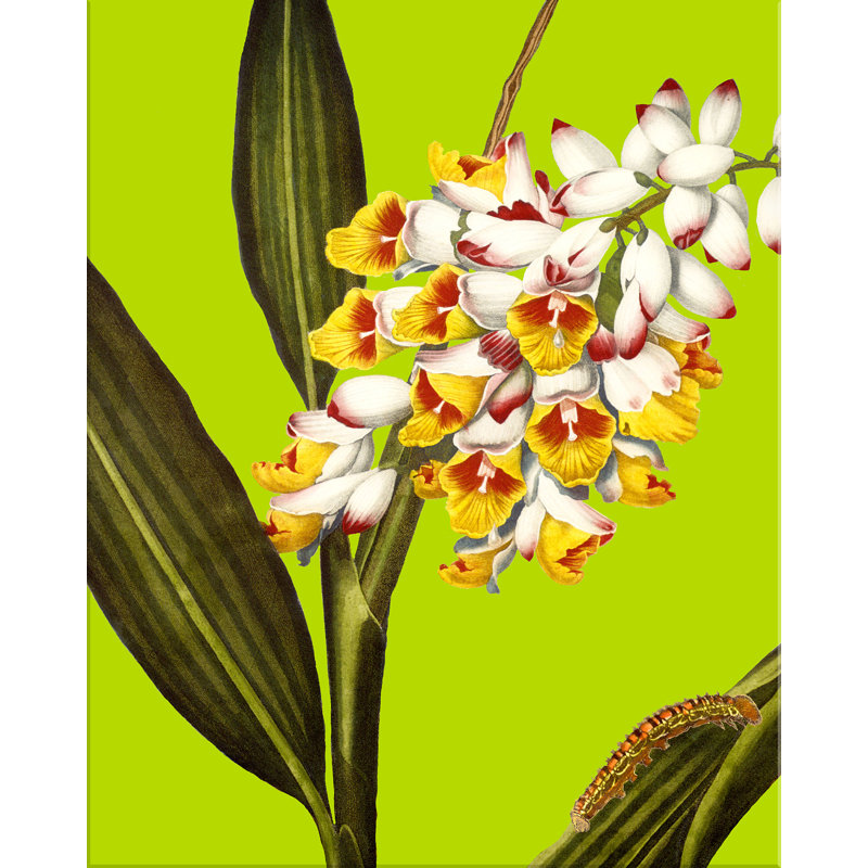 " Colour Me Floral #3 "