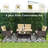 Gullo 4 - Person Patio Conversation Set with Cushions-31588955