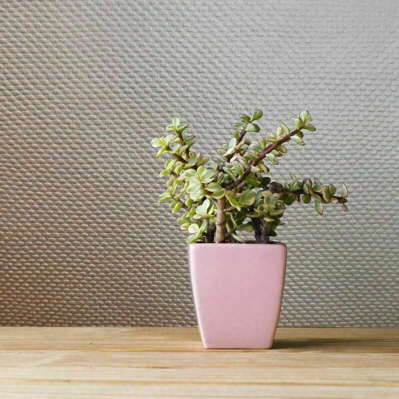 Grandeco Caldera Modern Textured Dots Wallpaper Luxury Metallic Rose Gold 22291