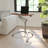 Mobile Sit-Down, Stand-Up Ergonomic Computer Desk-1030599078