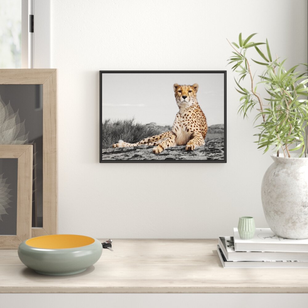 Gerahmtes Wandbild prächtiger Gepard in Savanne