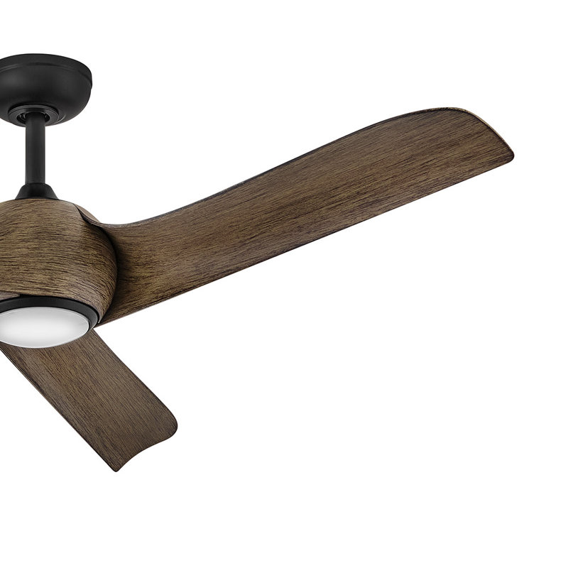 Ventilateur de plafond Hinkley Tiburon, Noir mat, Bois flotté