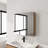 Bathroom Mirror Cabinet with Storage