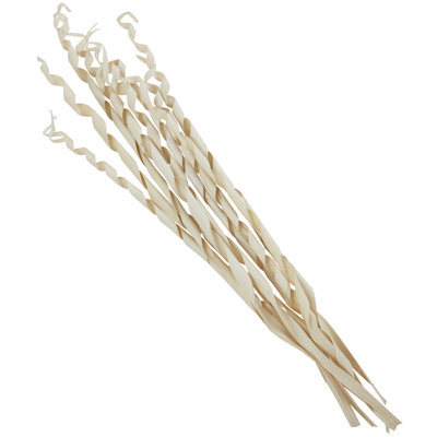 Berglund Palm Leaf Sculpture