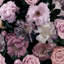 Rotteck Floral Wallpaper Roll