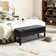 Vanwagoner 5 Pair Shoe Storage Box