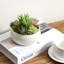 Artificial Plant